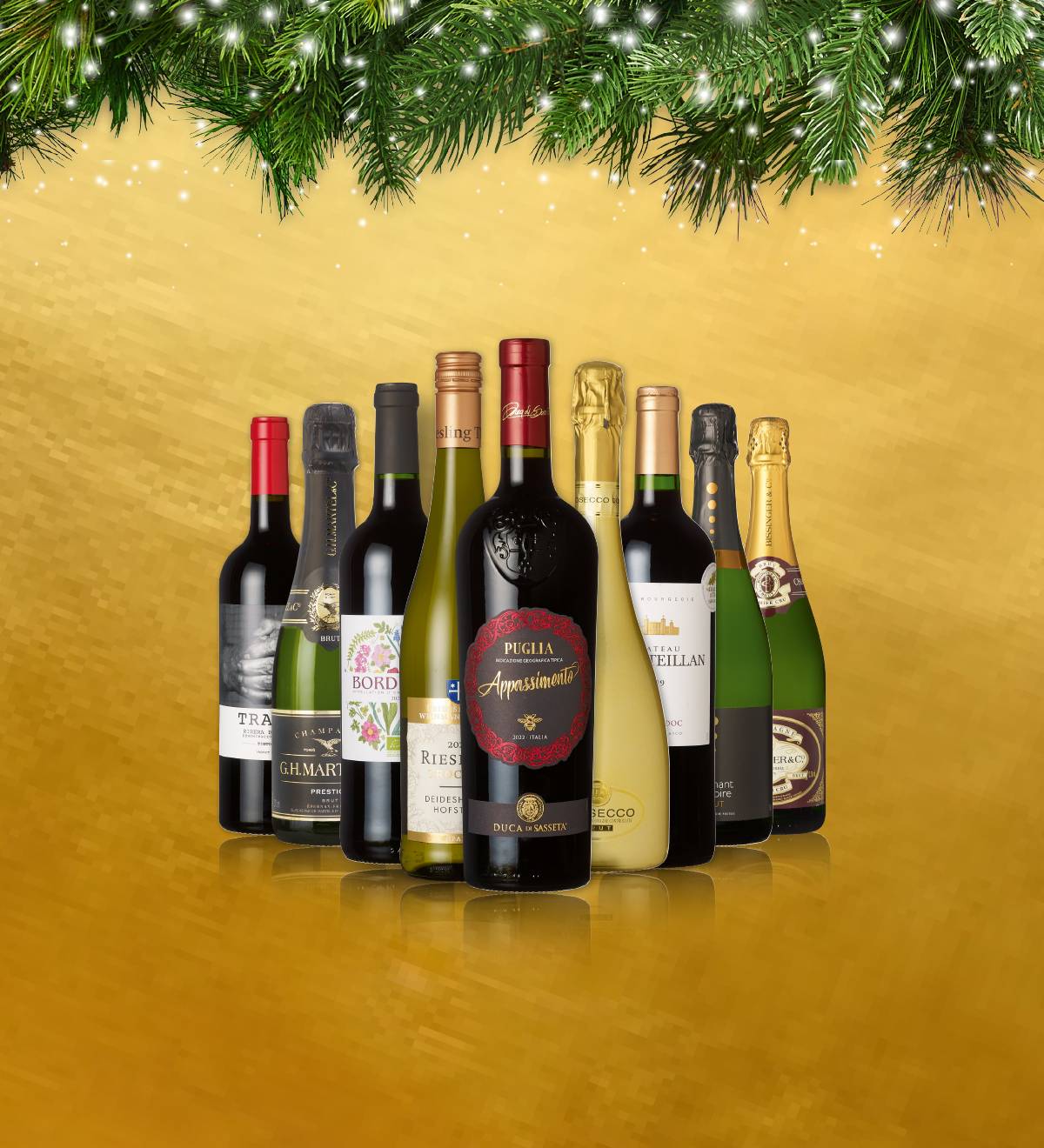 Découvrez tous les vins