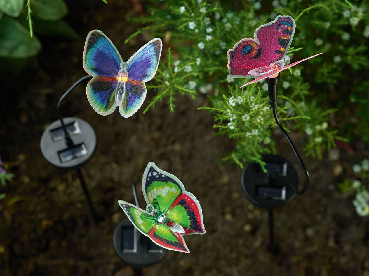 Drie kleurrijke vlinder tuinpalen op zonne-energie, die de grond en planten verlichten.