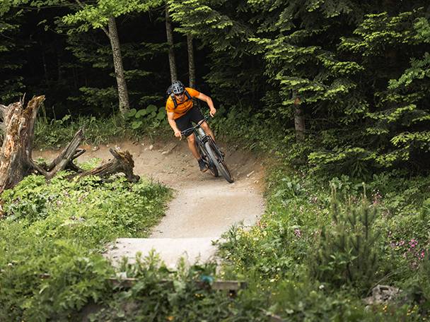 Mountainbiker op een bospaadje.