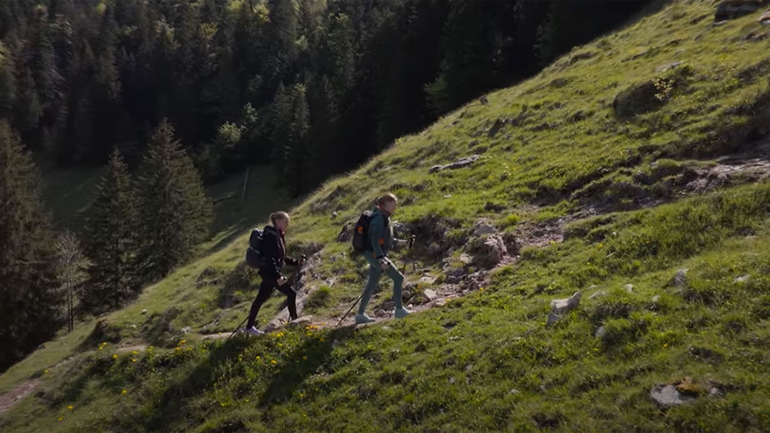 Deux randonneurs avec des sacs à dos montent un sentier de montagne.