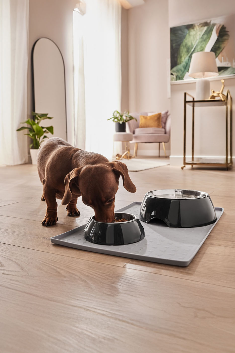 Een hond eet uit een stijlvolle set met twee kommen op een antislipmat.