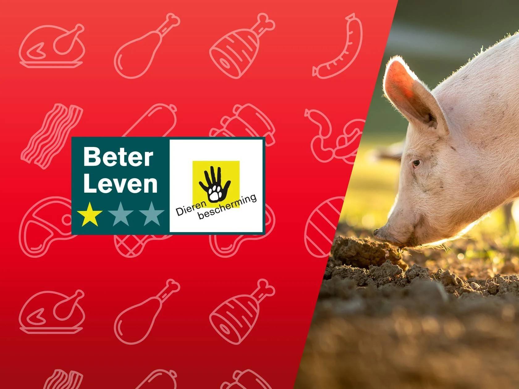 Porc avec label Beter Leven et produits carnés sur fond rouge.